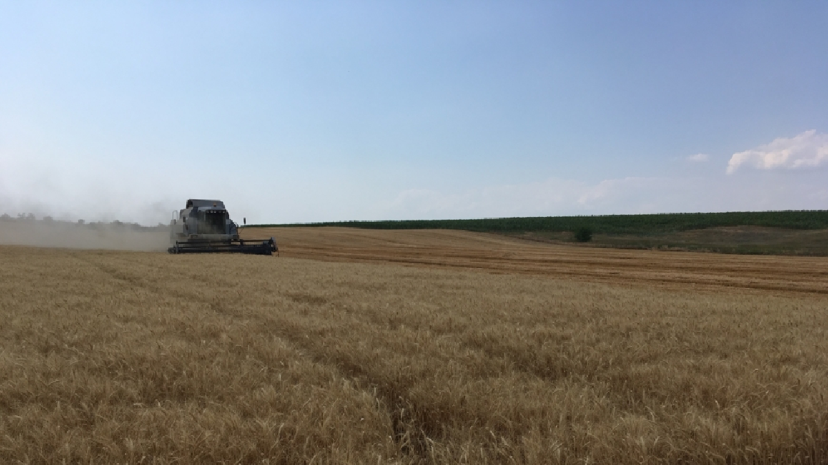 Окупанти змушують фермерів Запорізької області продавати зерно в РФ та Крим